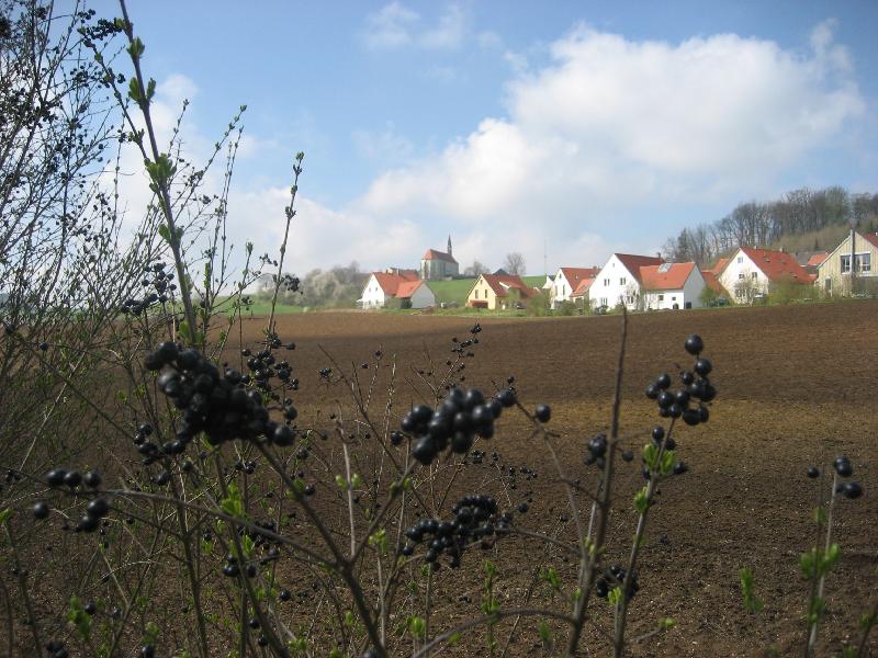 Adlersberg