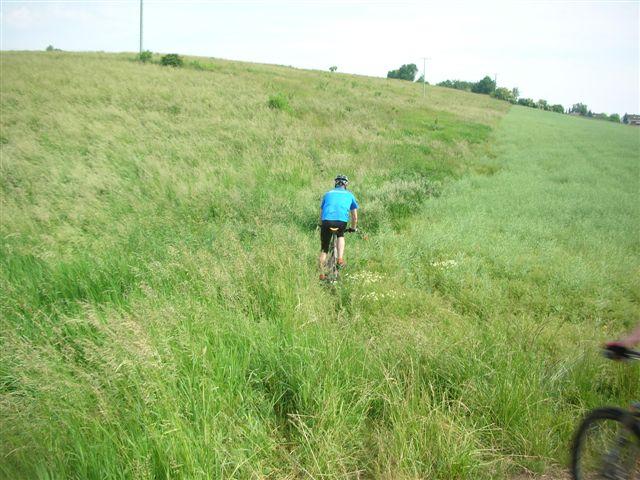 Wiese I