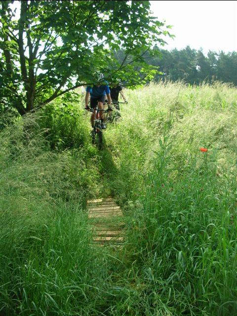 Tonis Trail