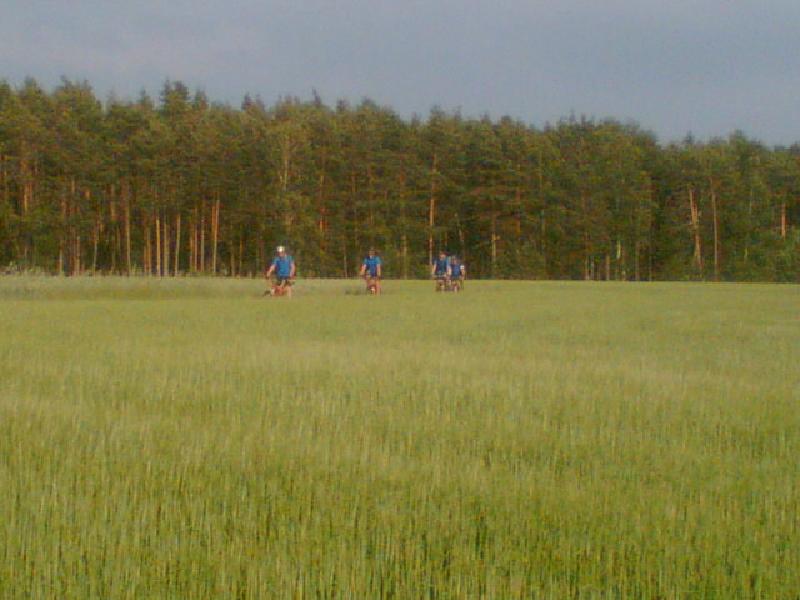 Wiese I