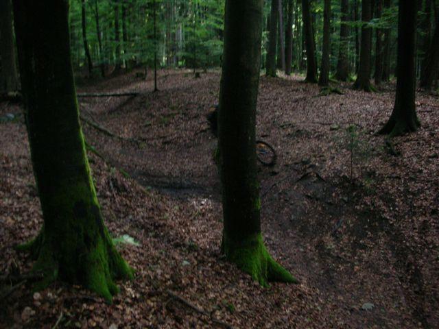 Bobbahn III