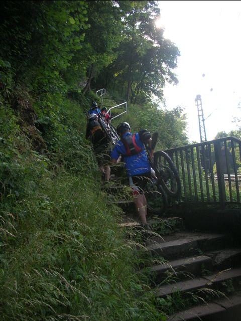 Tragen