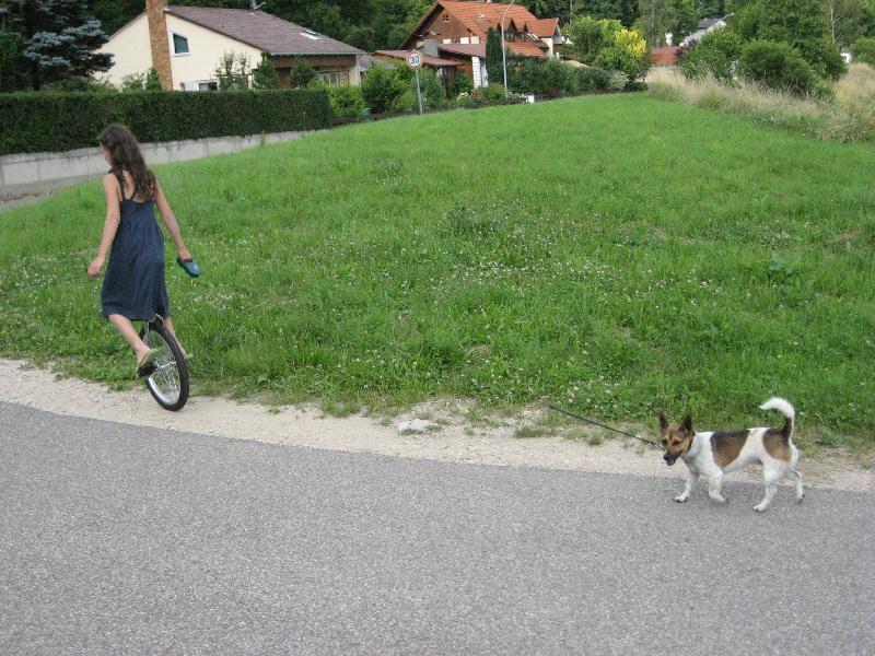 Hund