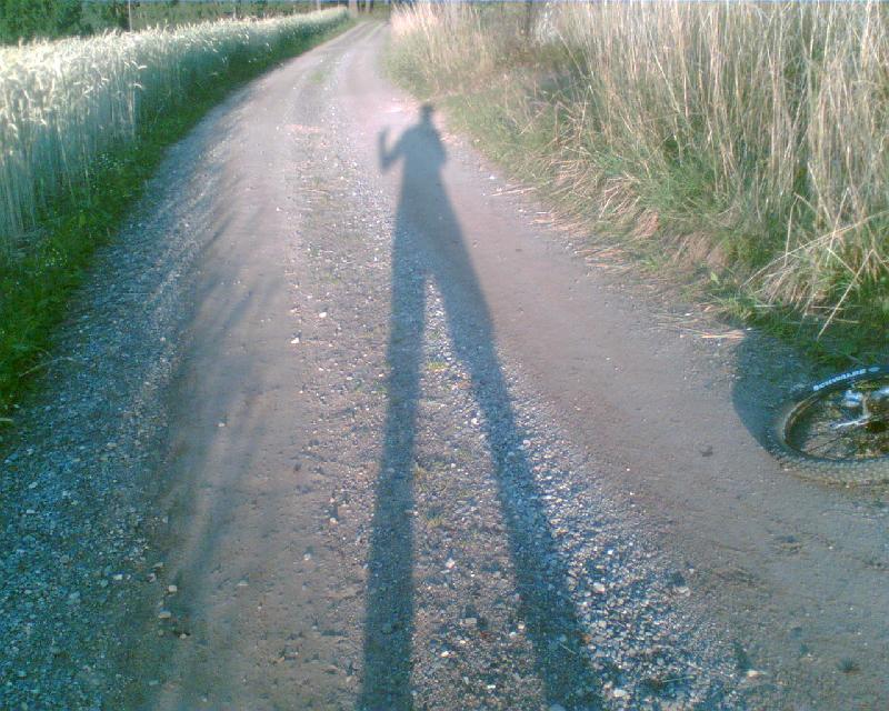Beine