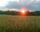 Sonne