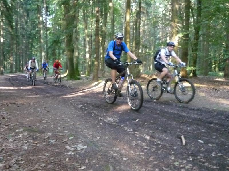 Wald