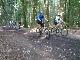 Wald
