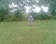 Warten