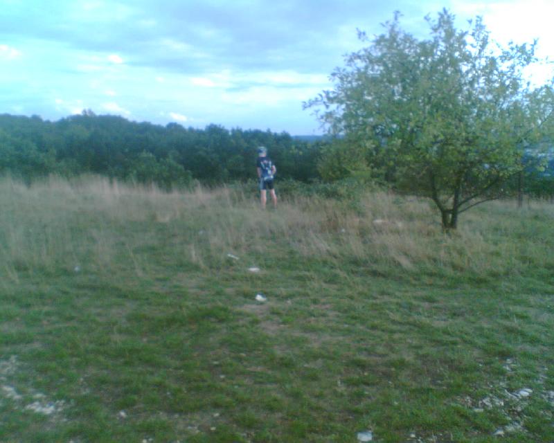 Wiese