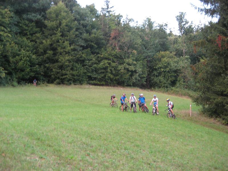 Waldausfahrt