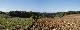 Horizont