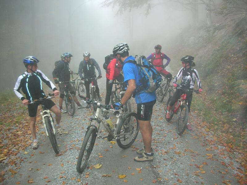 Gruppierung