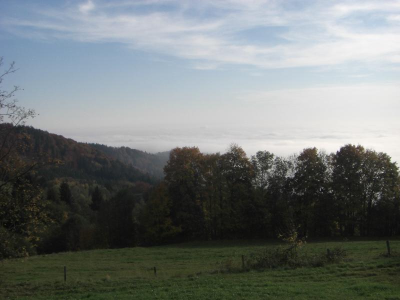 Ausblick