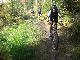 Trail
