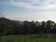 Ausblick