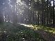 P1010376.JPG