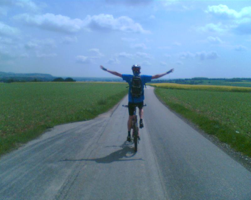 fliegen