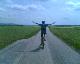 fliegen