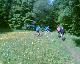 Blumenwiese
