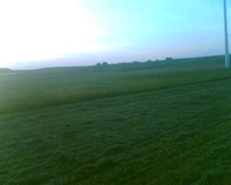 Wiese III
