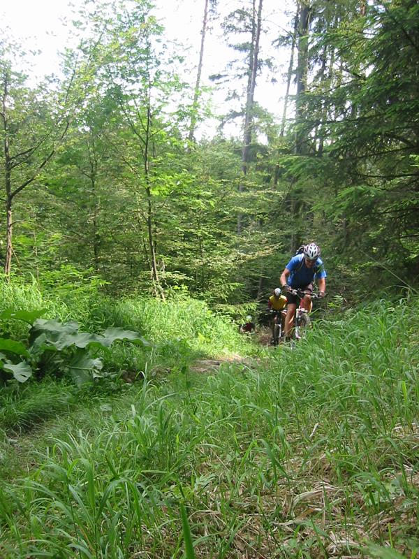 Aufsteiger