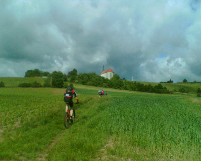 Adler am Berg