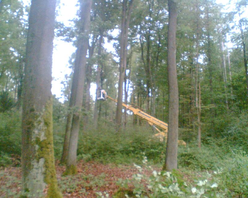 Klettergarten