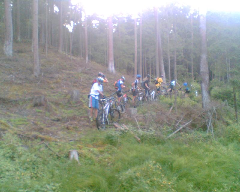 Tragen I
