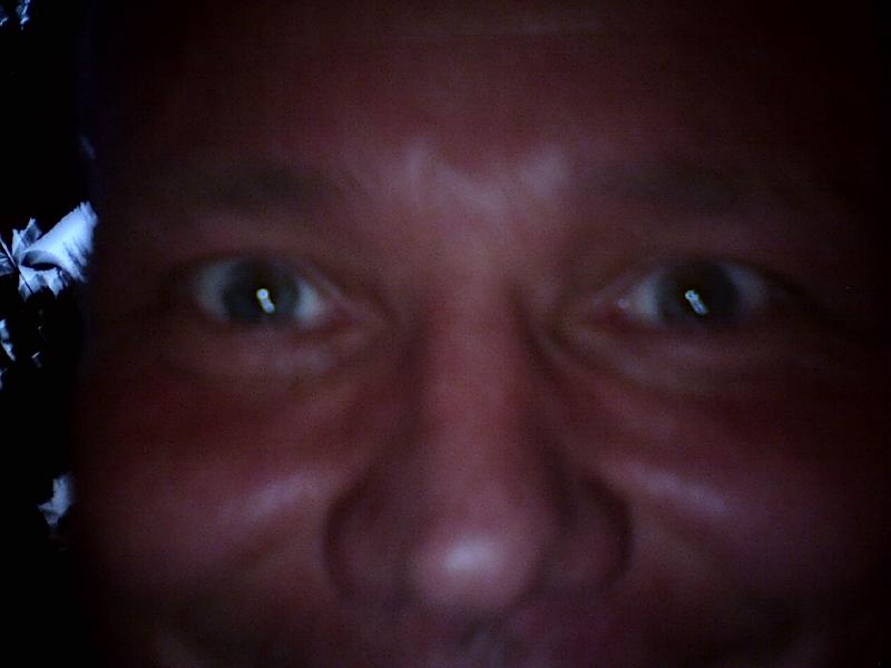 Augen XIV