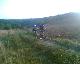Trail