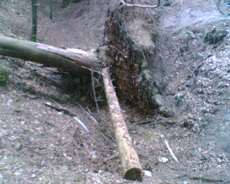neuer Sprung