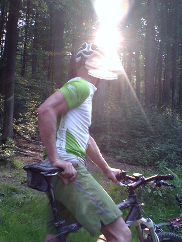 Muli im Licht