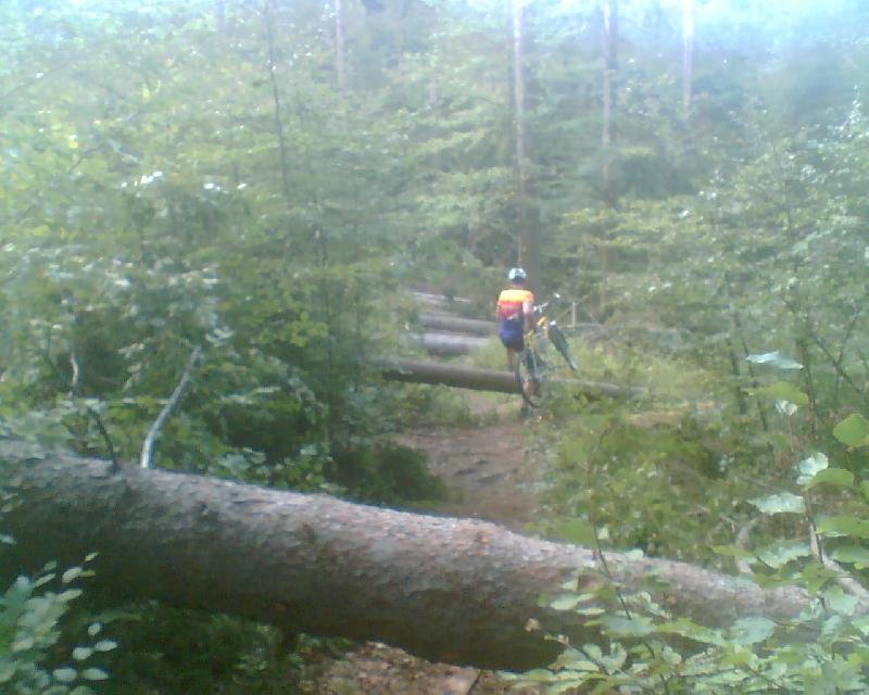 Hindernislauf