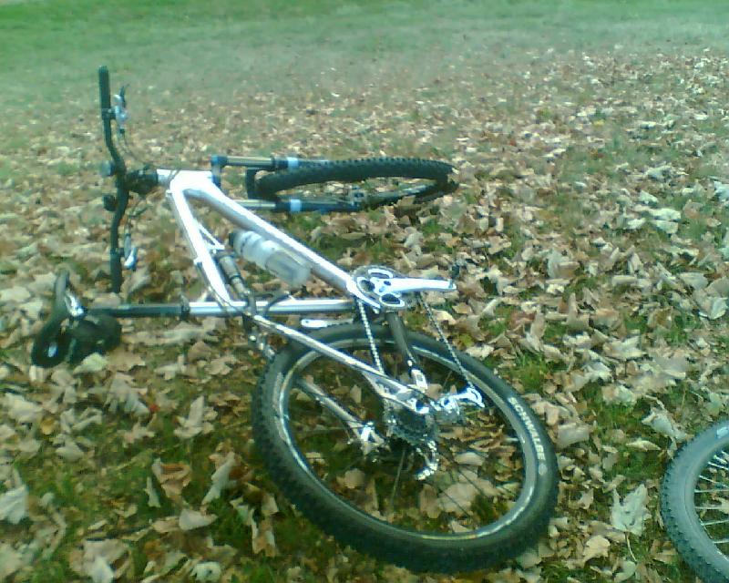 Herbst