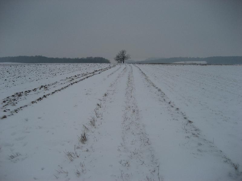 Einsamkeit