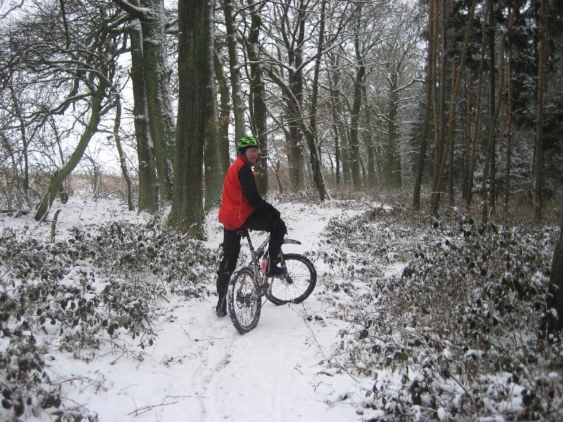 Forest Jump