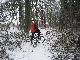 Forest Jump