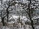 Schnee im Tal