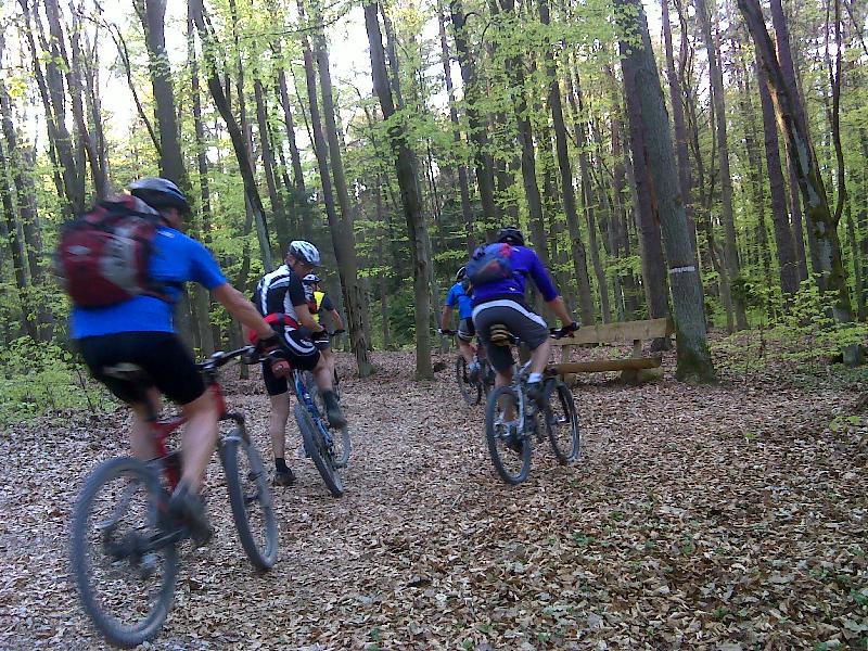 Wald