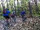 Wald
