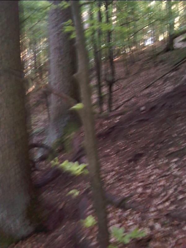 weg ..