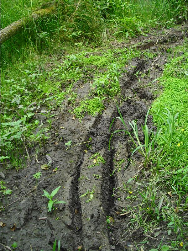 Schlamm