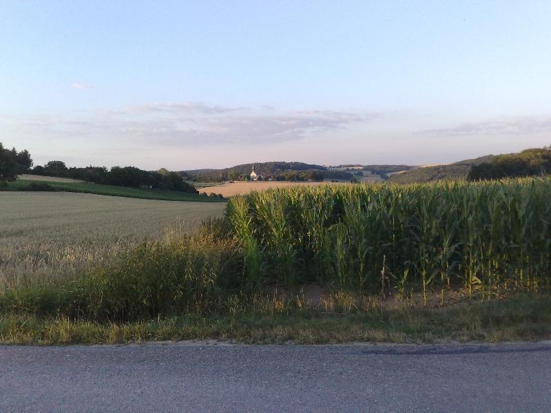 Licht?