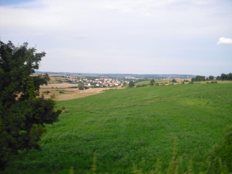 Blick