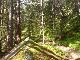 DSC00647.JPG