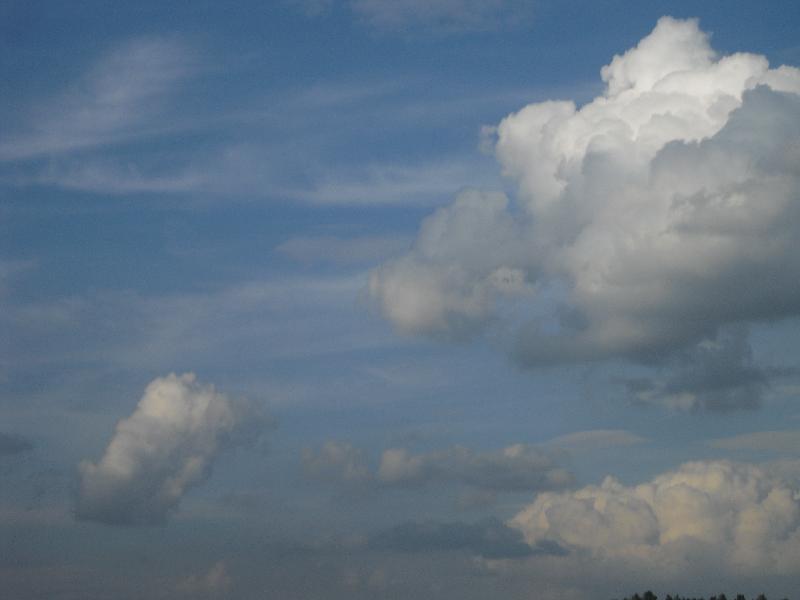 Wetter