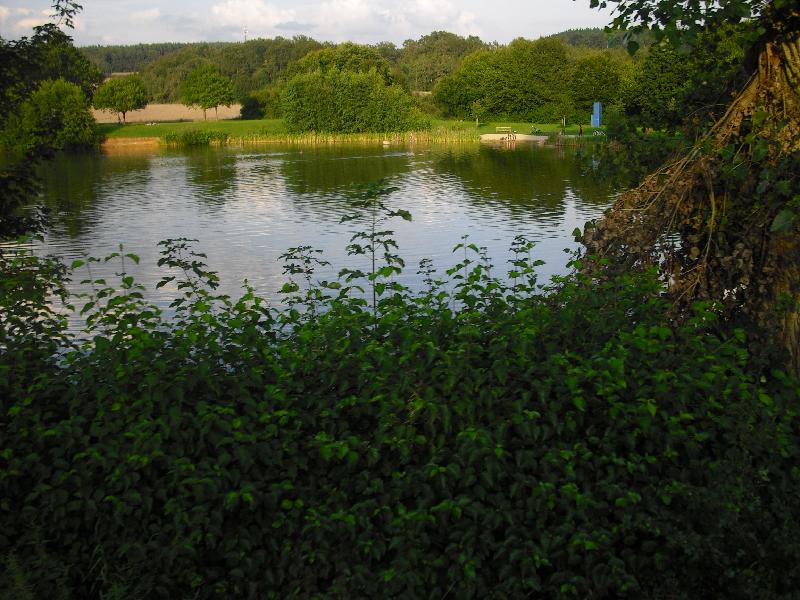 Schwetzi