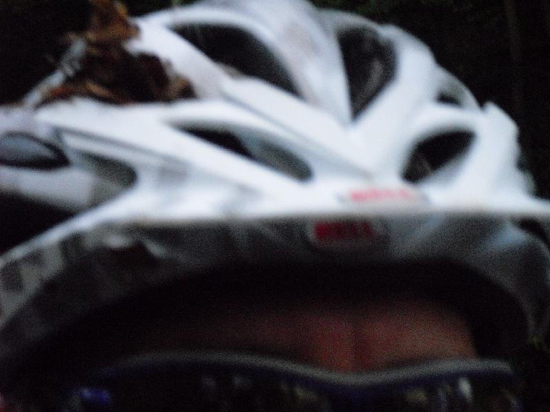 Helm