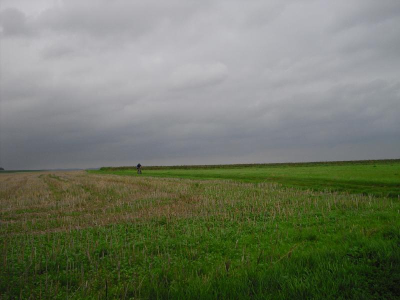 CIMG3400.JPG