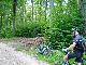 Rast